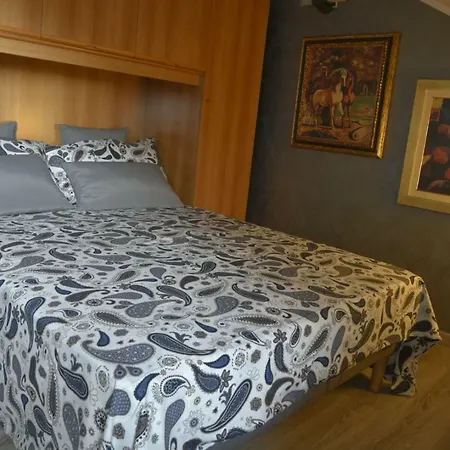 Un Soffice Nido Nel Cuore Di Apartment