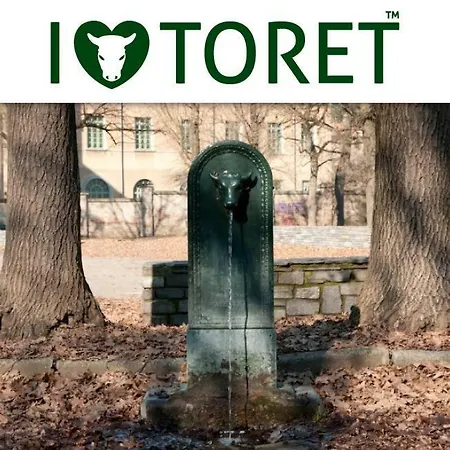 Un Soffice Nido Nel Cuore Di Turin