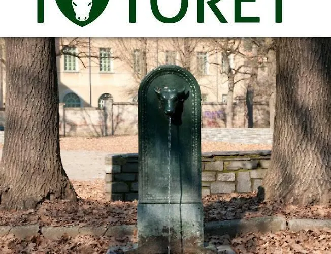 Un Soffice Nido Nel Cuore Di Turin